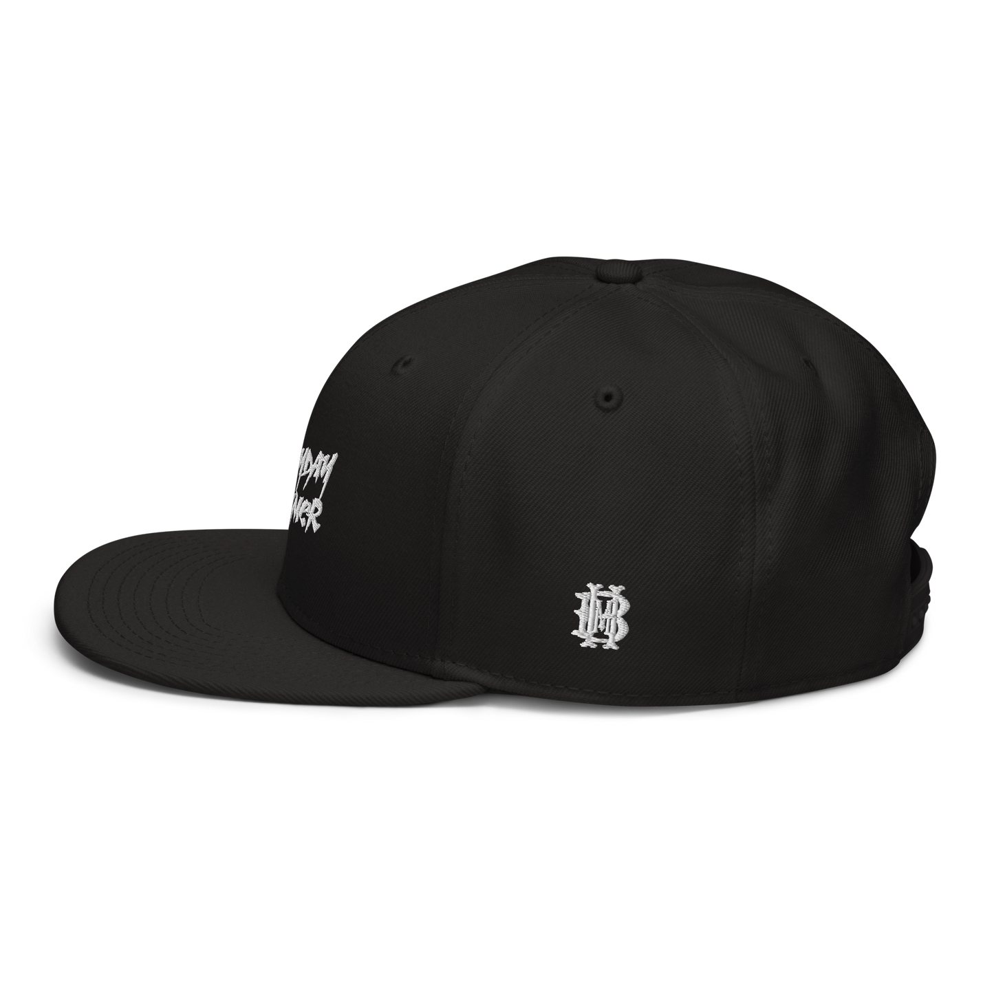 Everyday Summer Snapback