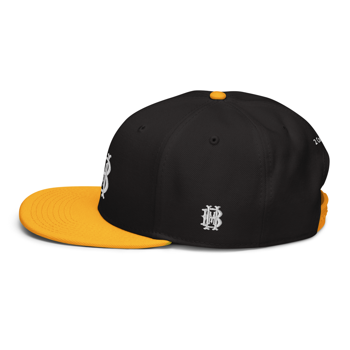 Ruling Snapback