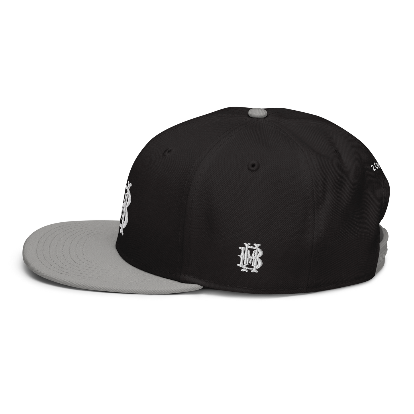 Ruling Snapback