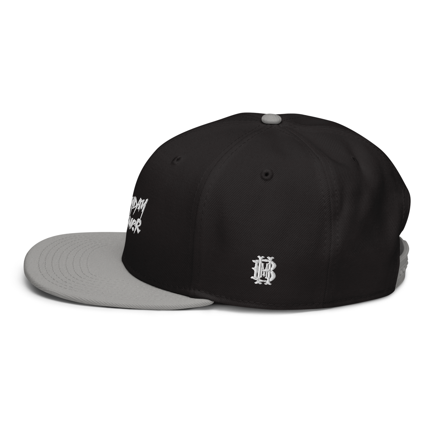 Everyday Summer Snapback