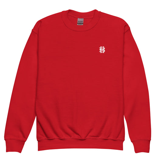 Youth Crewneck Sweatshirt