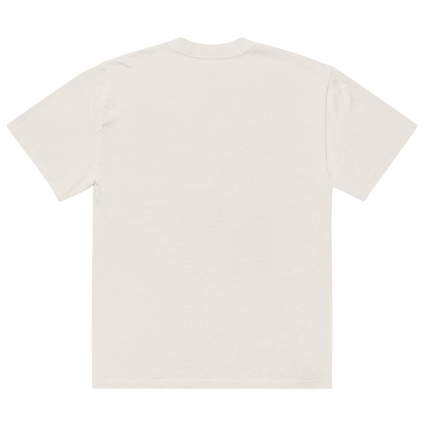 Guardian Of Wealth Oversized Tee