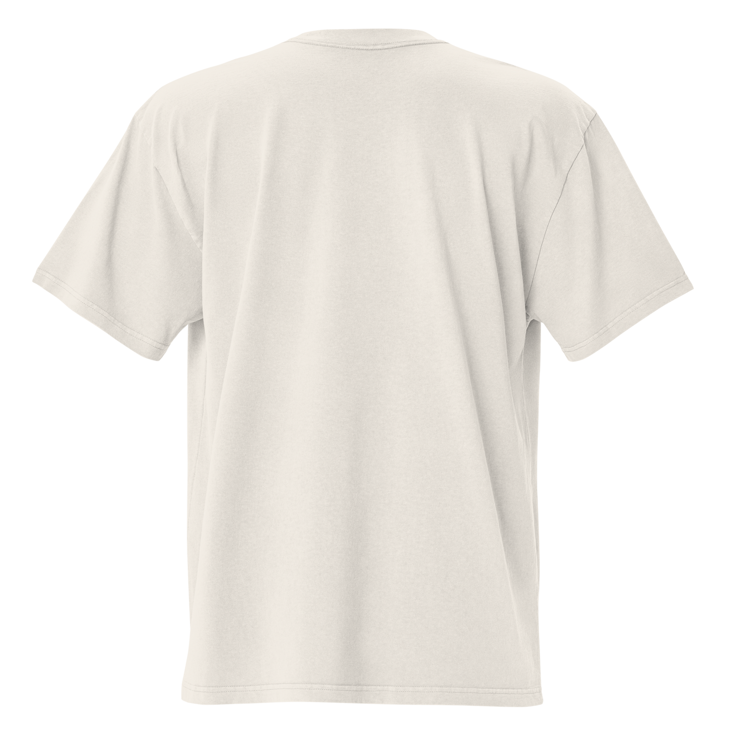 Guardian Of Wealth Oversized Tee